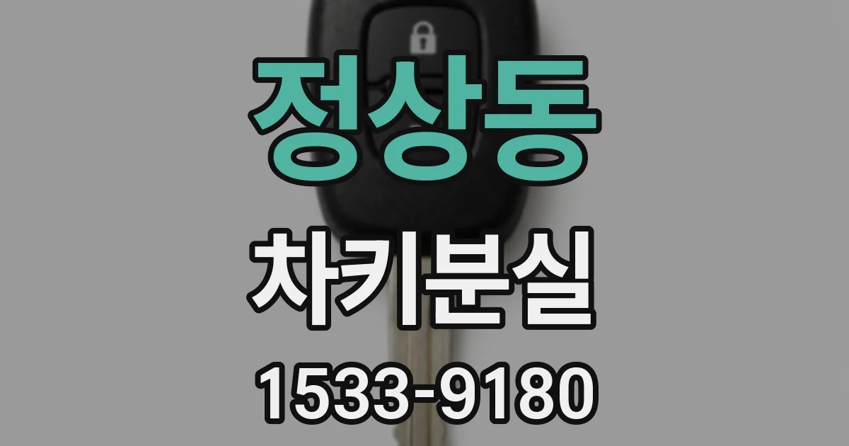 정상동 차키분실