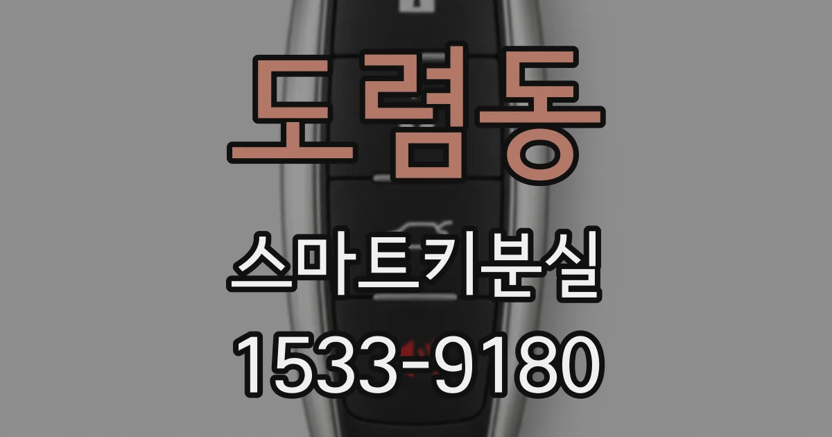 도렴동 스마트키분실