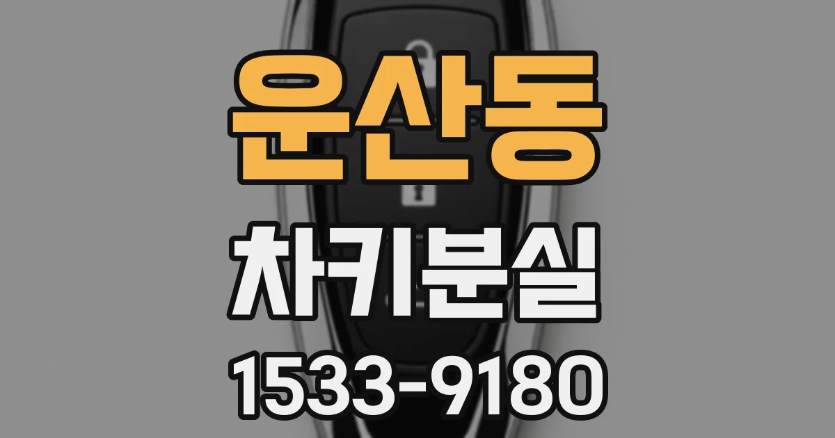 운산동 차키분실