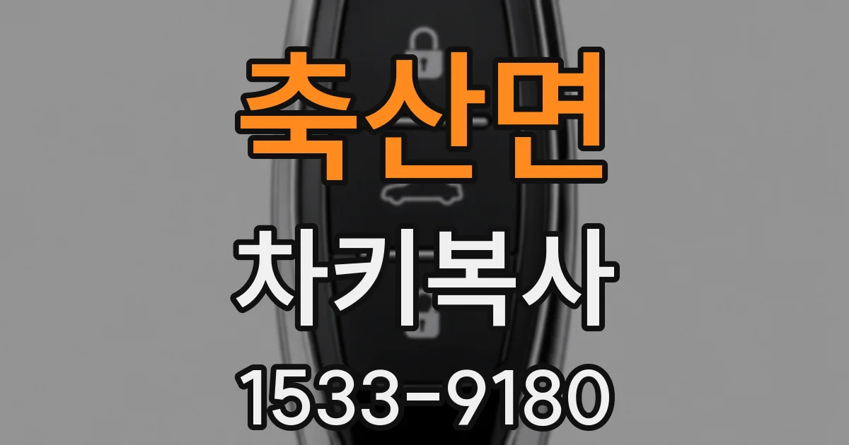 축산면 차키복사
