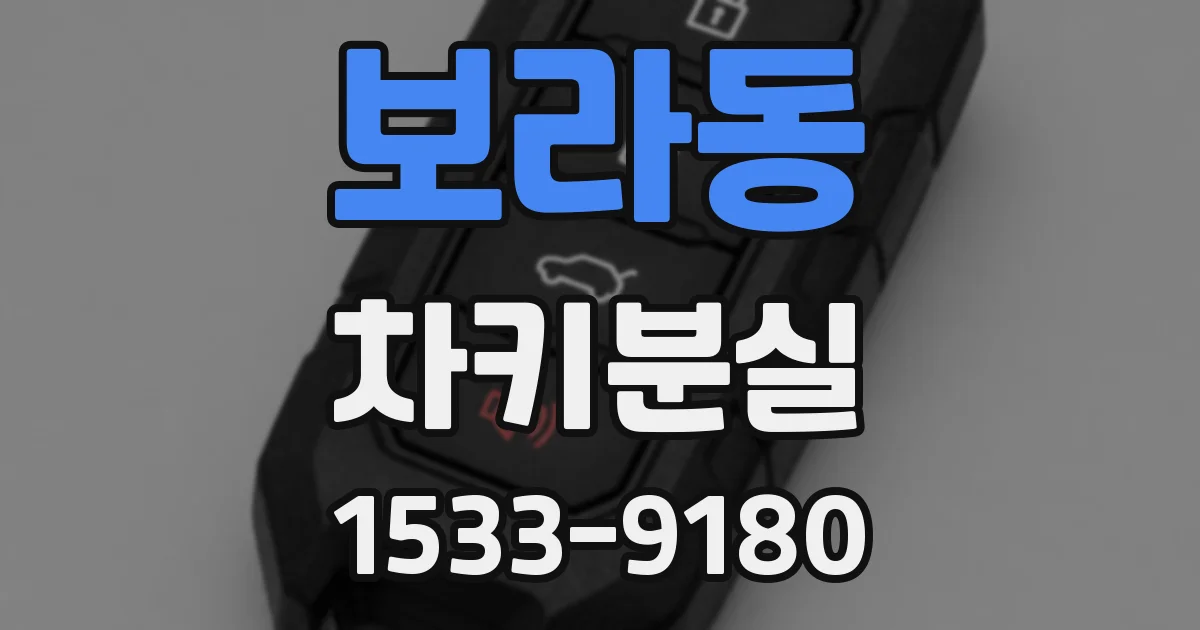보라동 차키분실