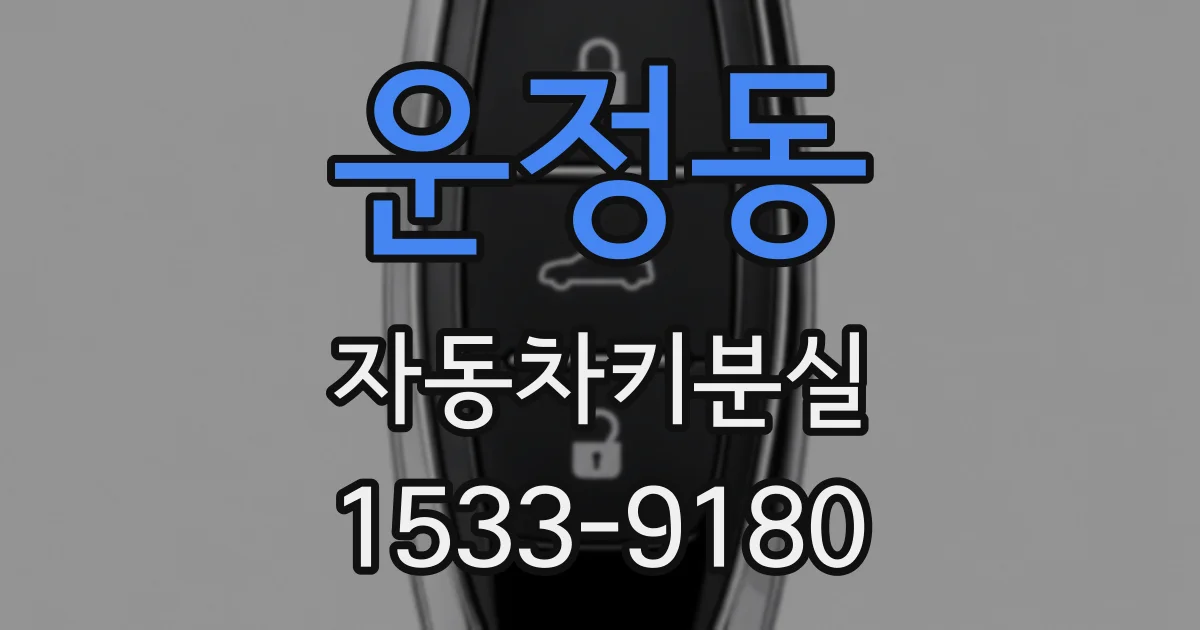 운정동 자동차키분실