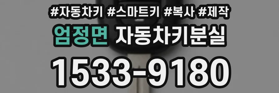 엄정면 자동차키분실