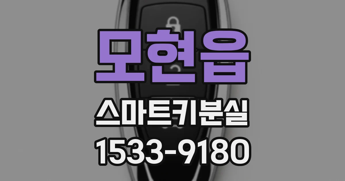모현읍 스마트키분실