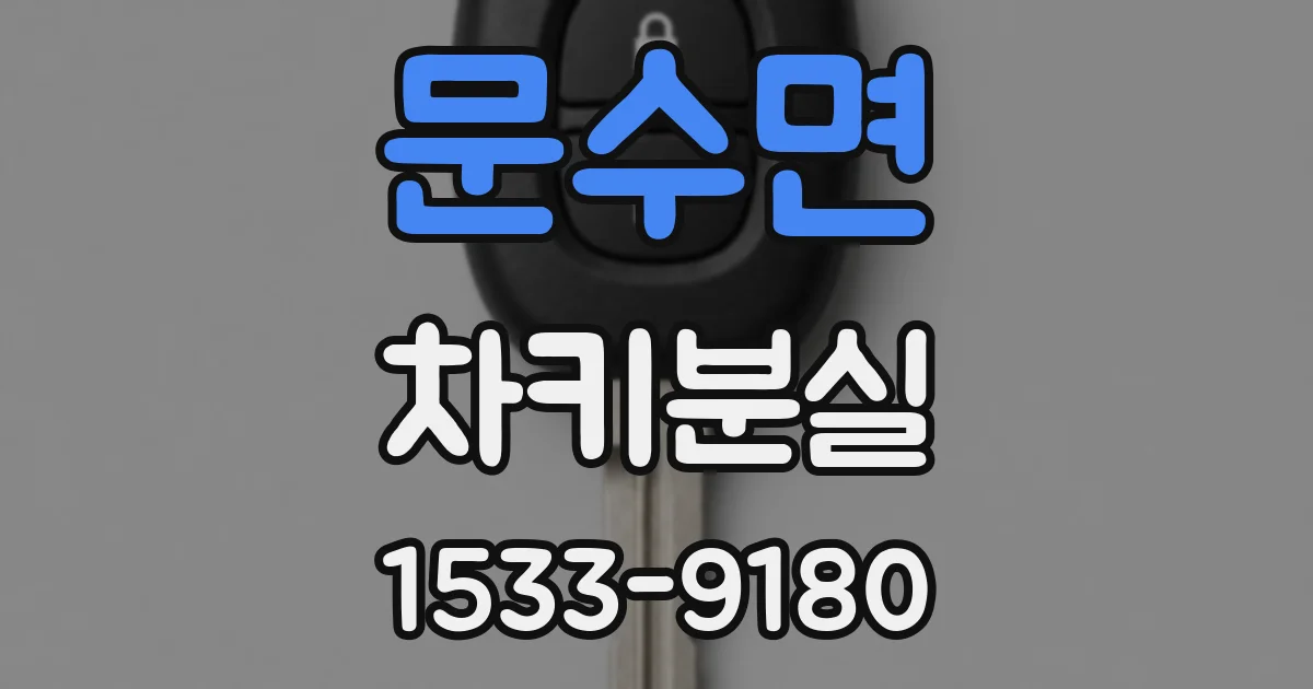 문수면 차키분실