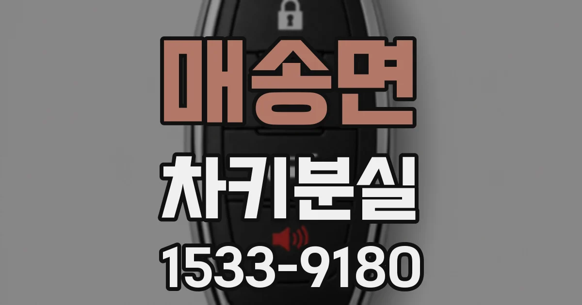 매송면 차키분실