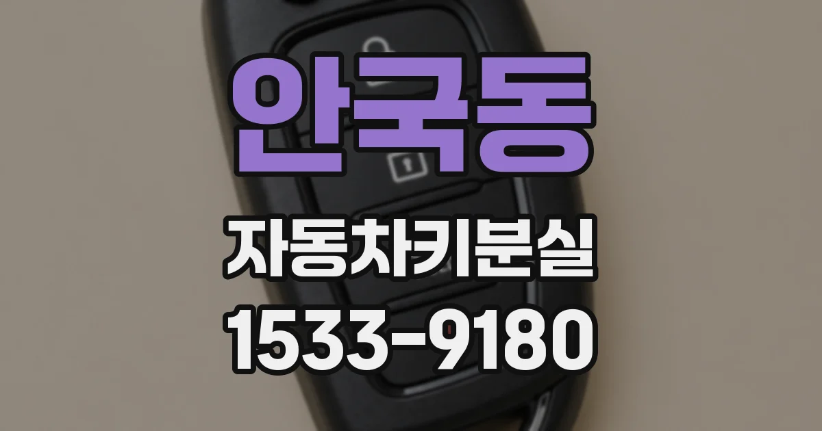 안국동 자동차키분실
