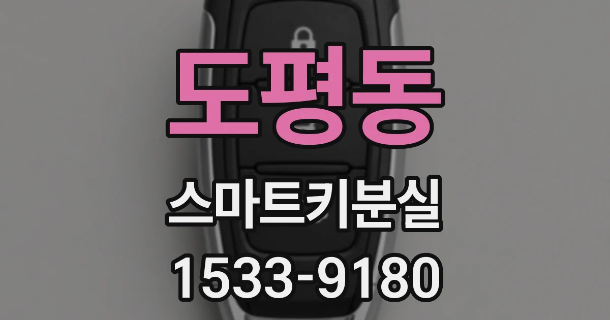 도평동 스마트키분실