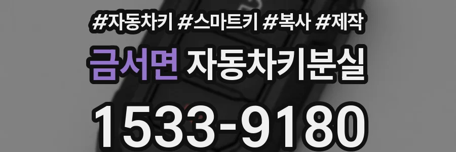 금서면 자동차키분실