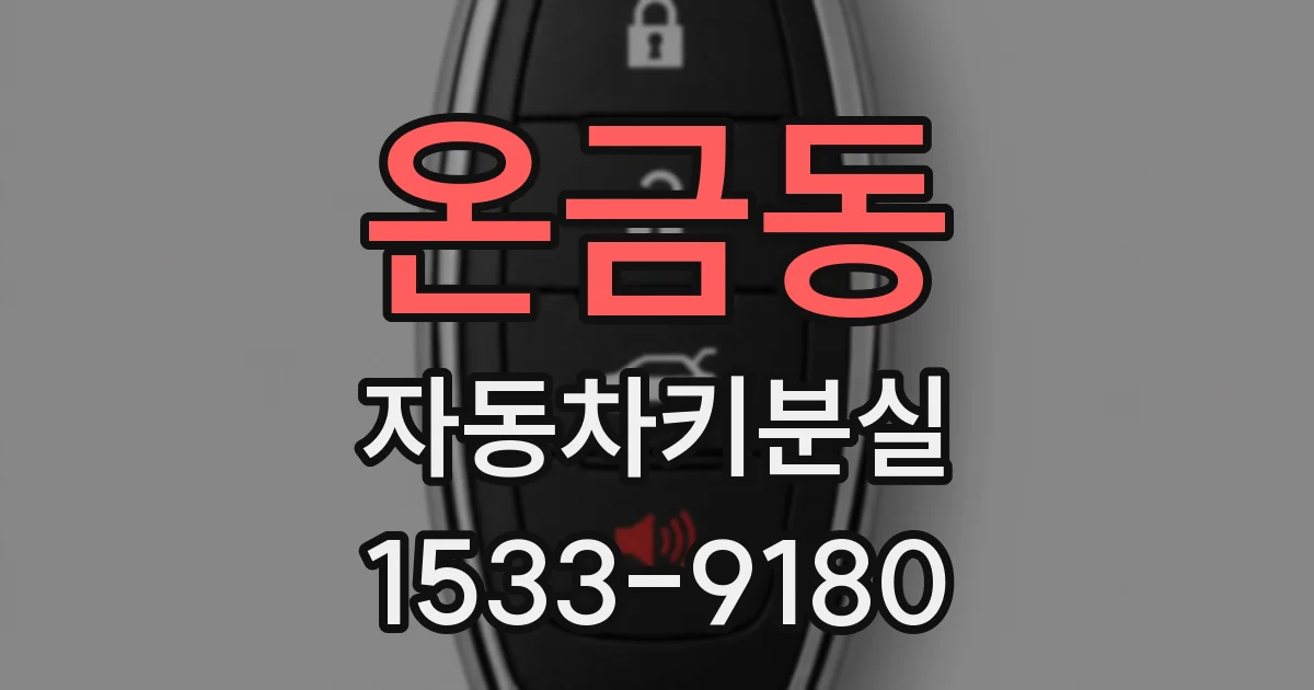 온금동 자동차키분실