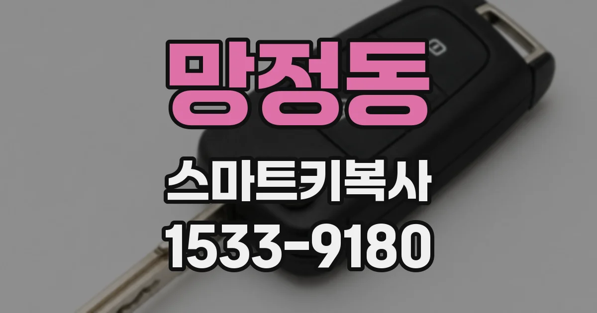망정동 스마트키복사