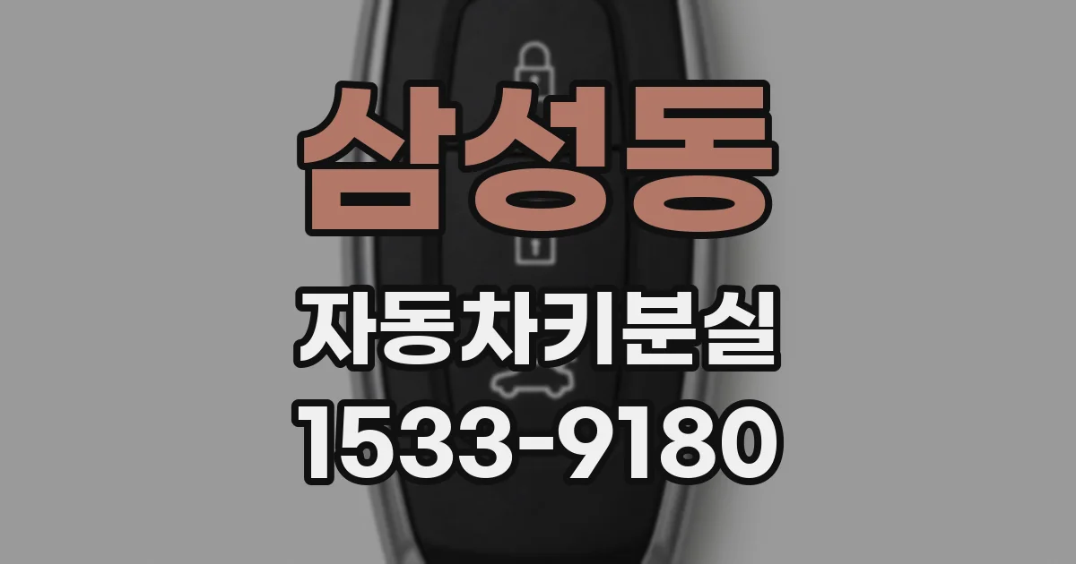 삼성동 자동차키분실
