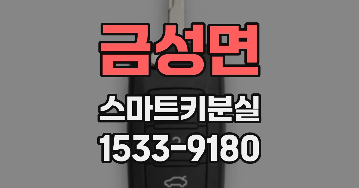 금성면 스마트키분실