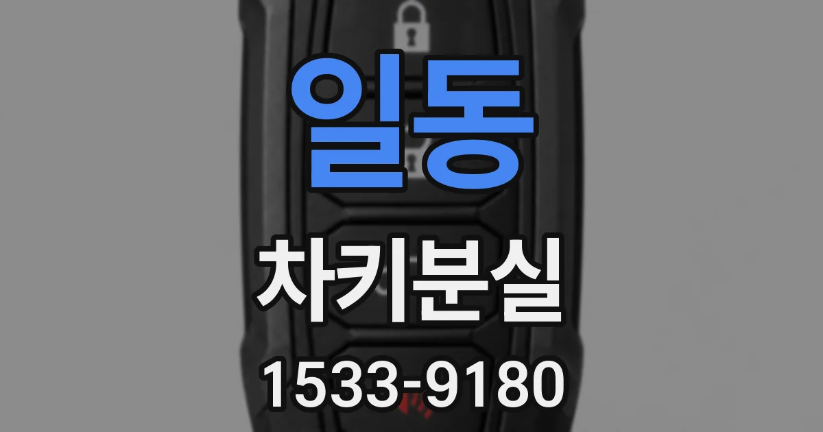 일동 차키분실