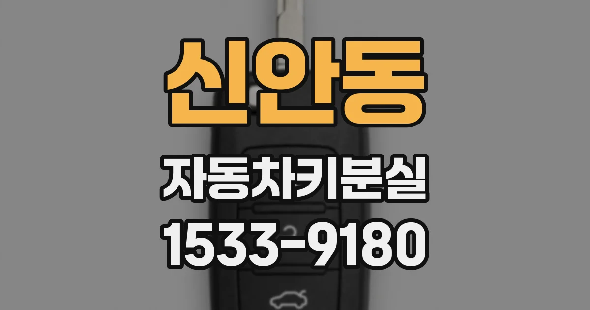 신안동 자동차키분실
