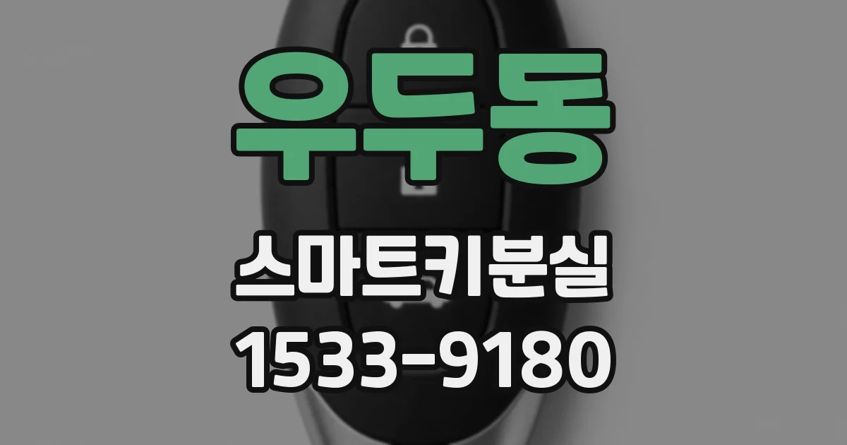 우두동 스마트키분실