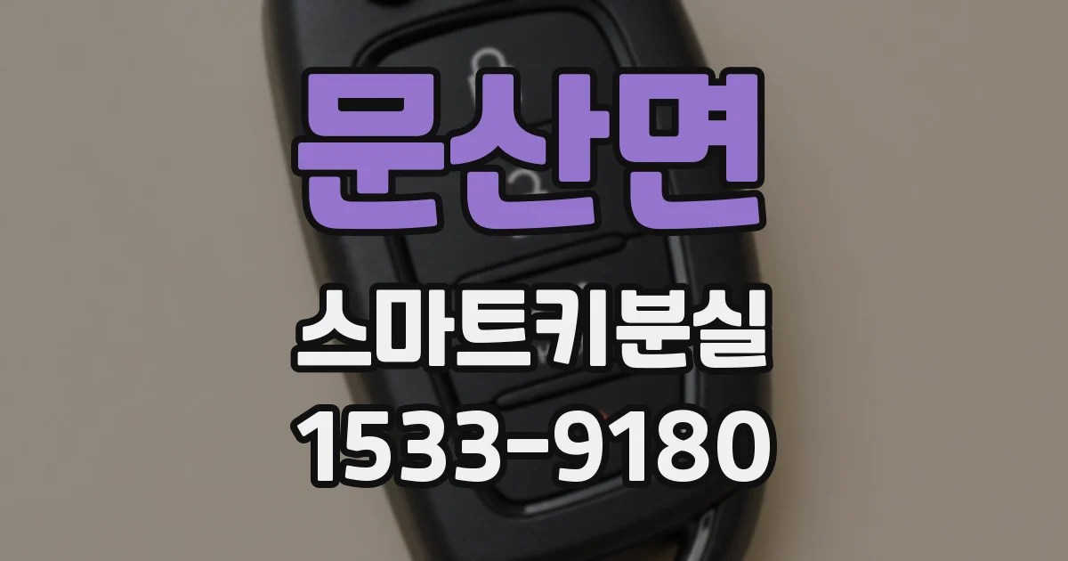 문산면 스마트키분실