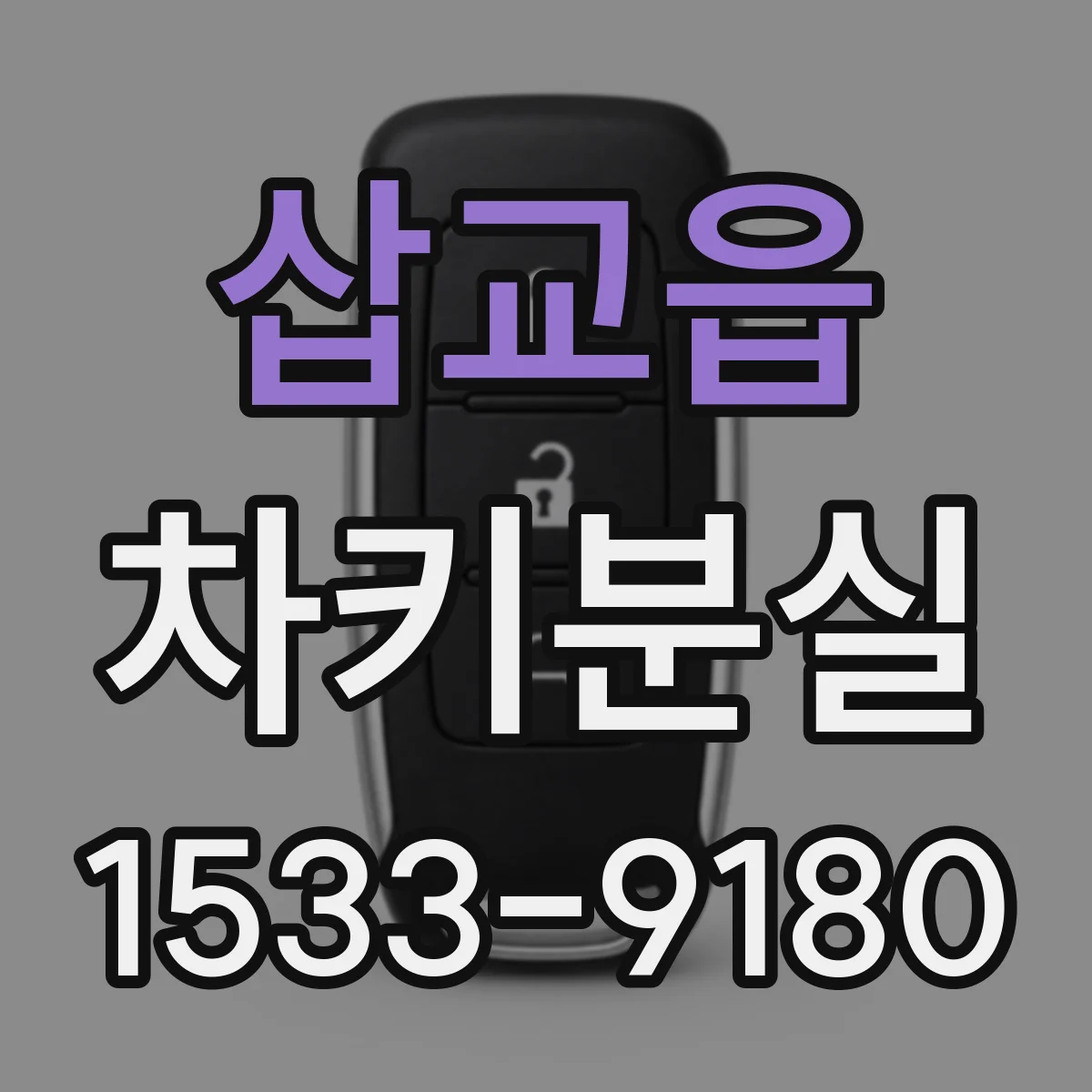 삽교읍 차키분실