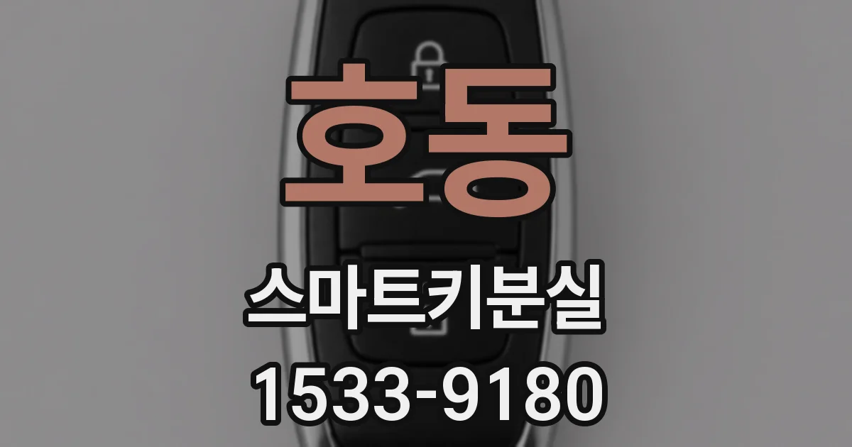 호동 스마트키분실