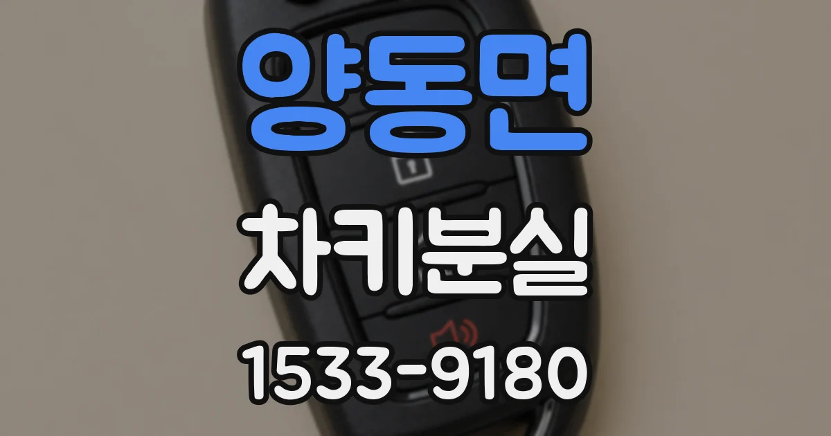 양동면 차키분실