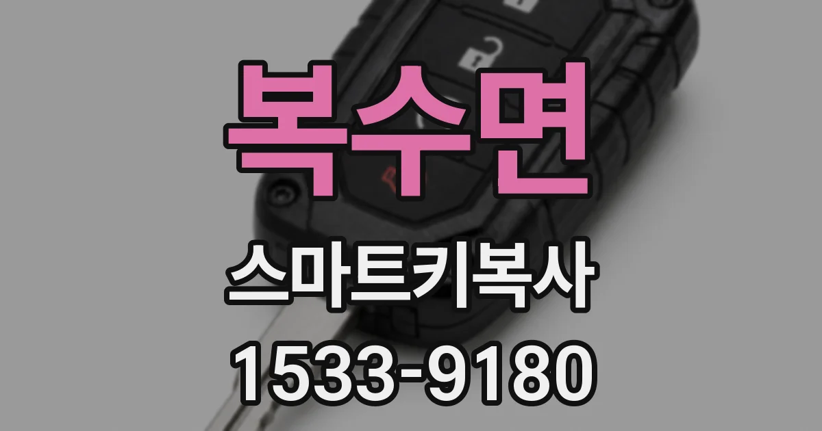 복수면 스마트키복사