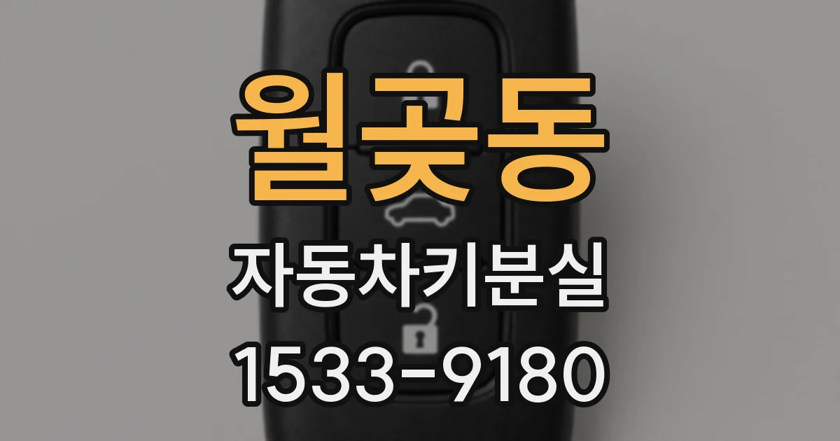 월곶동 자동차키분실