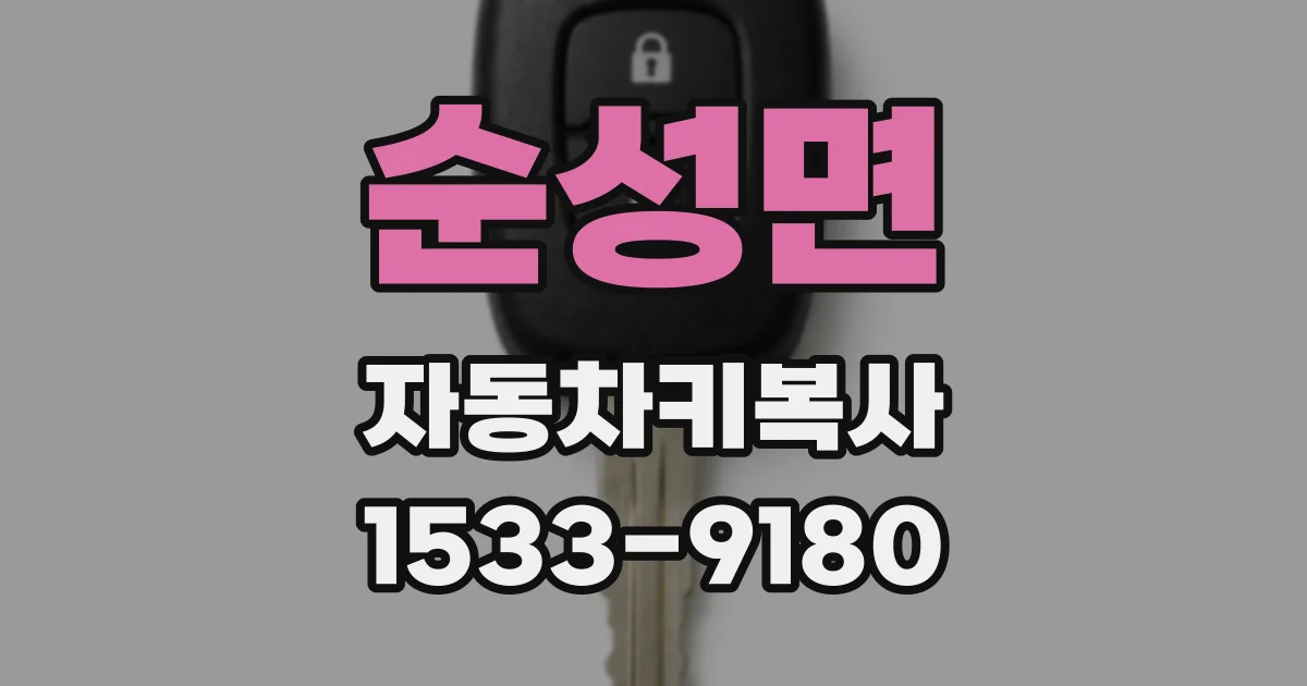 순성면 자동차키복사