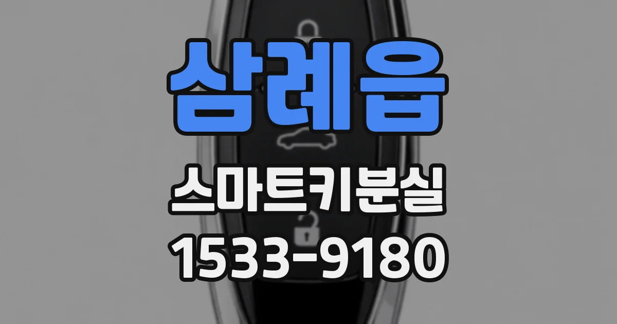 삼례읍 스마트키분실