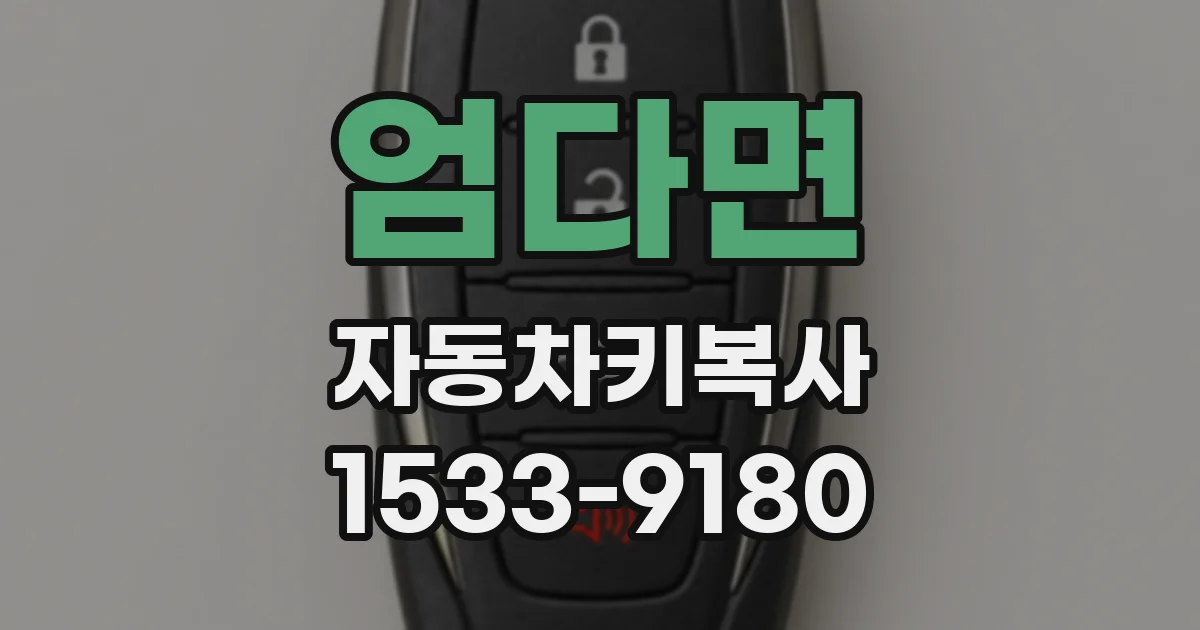 엄다면 자동차키복사