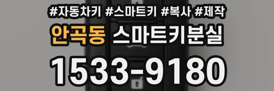 안곡동 스마트키분실