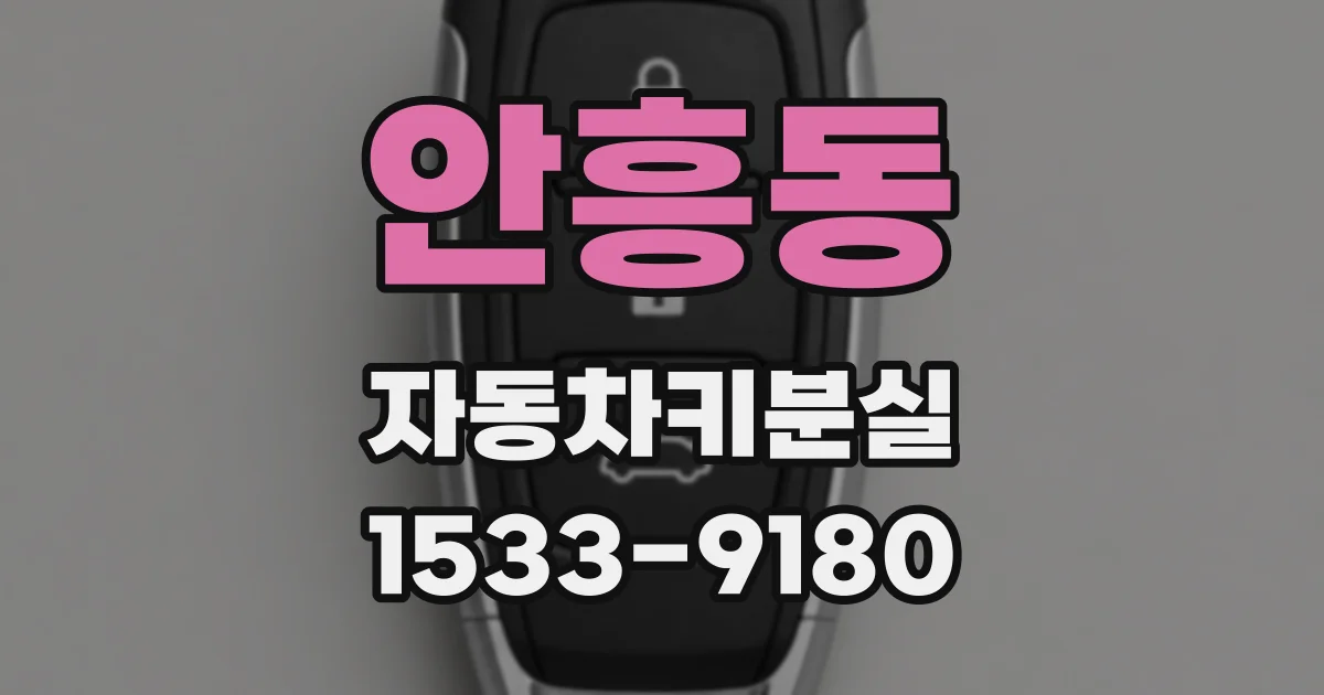 안흥동 자동차키분실
