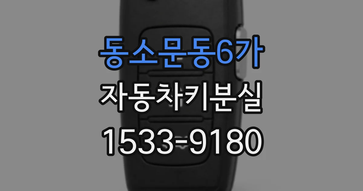 동소문동6가 자동차키분실