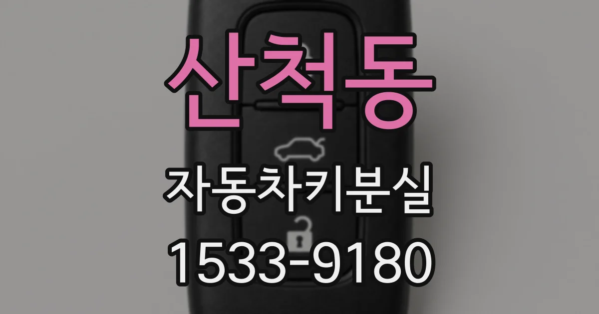 산척동 자동차키분실