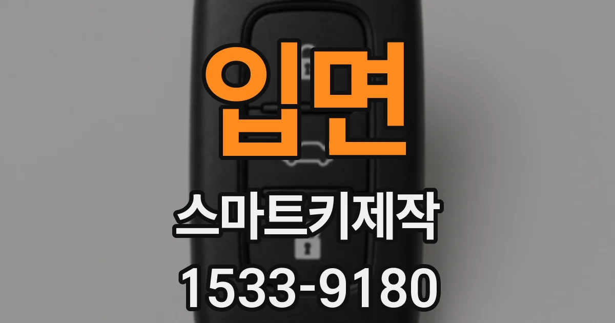 입면 스마트키제작