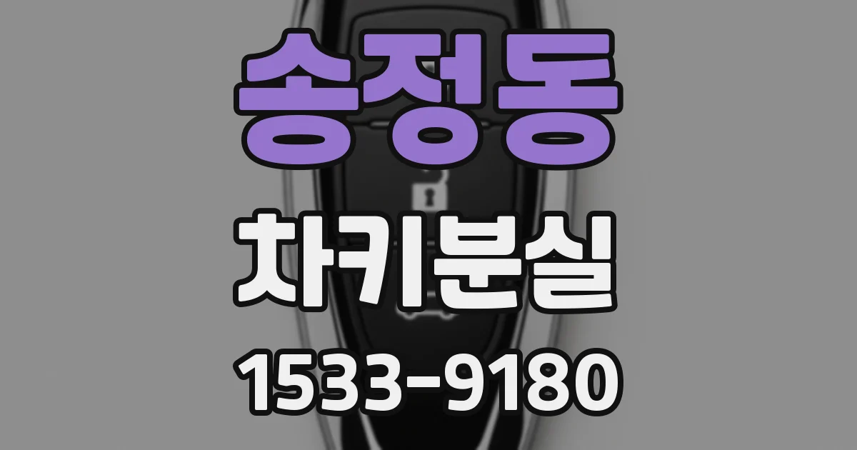 송정동 차키분실