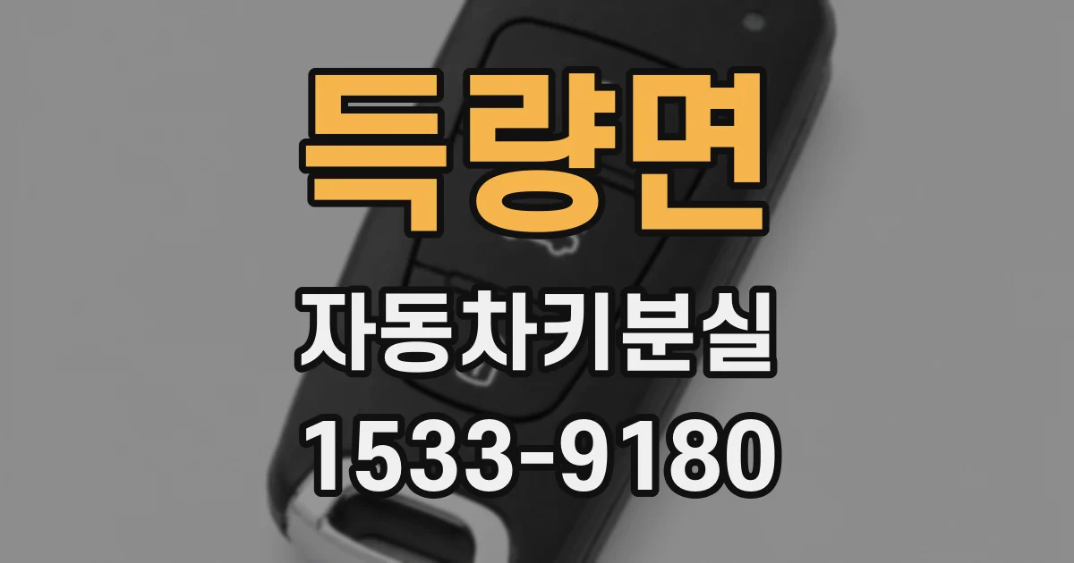 득량면 자동차키분실