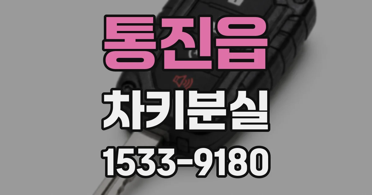 통진읍 차키분실