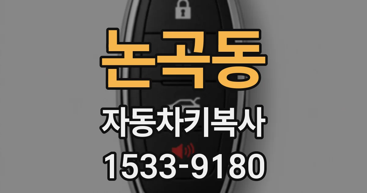 논곡동 자동차키복사