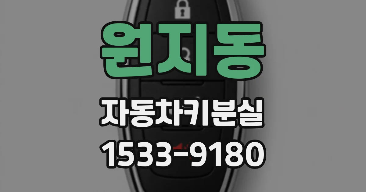 원지동 자동차키분실