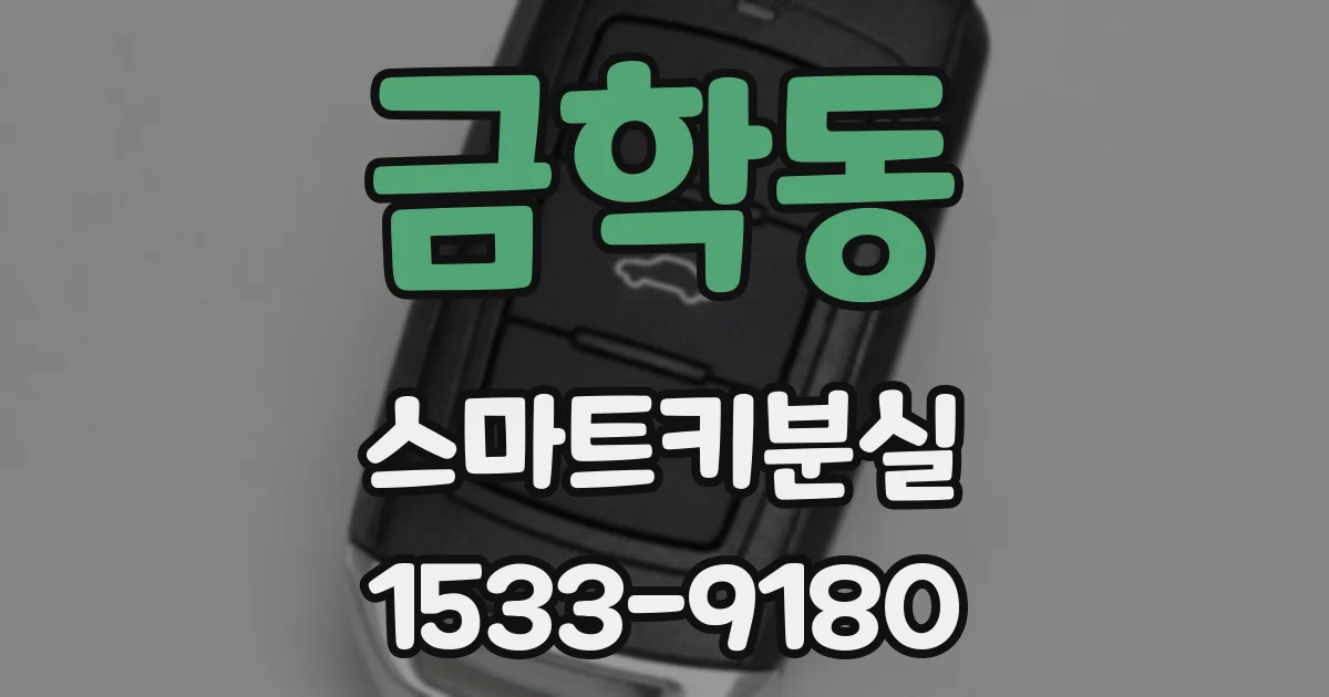 금학동 스마트키분실