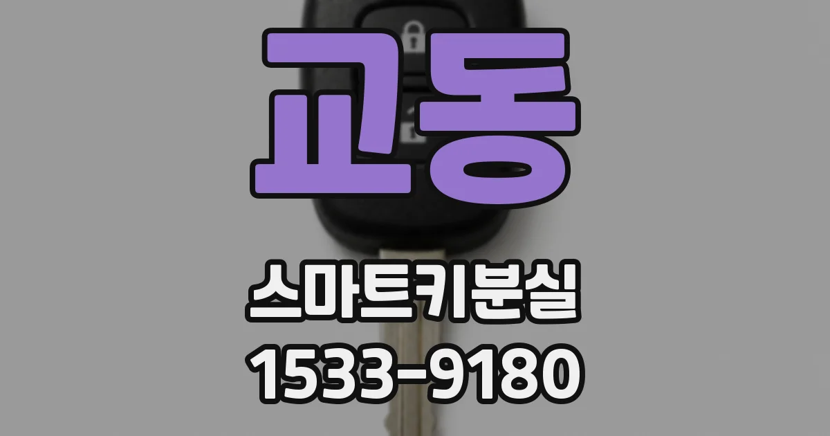 교동 스마트키분실