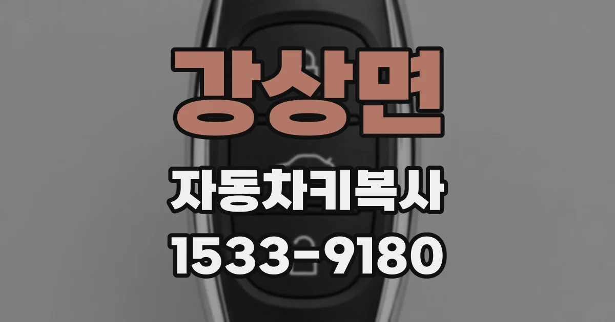 강상면 자동차키복사