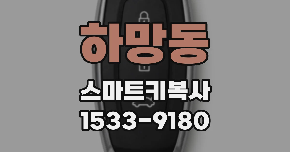 하망동 스마트키복사