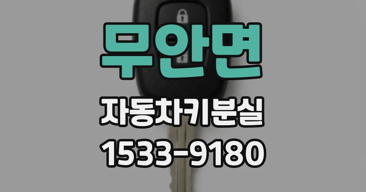 무안면 자동차키분실