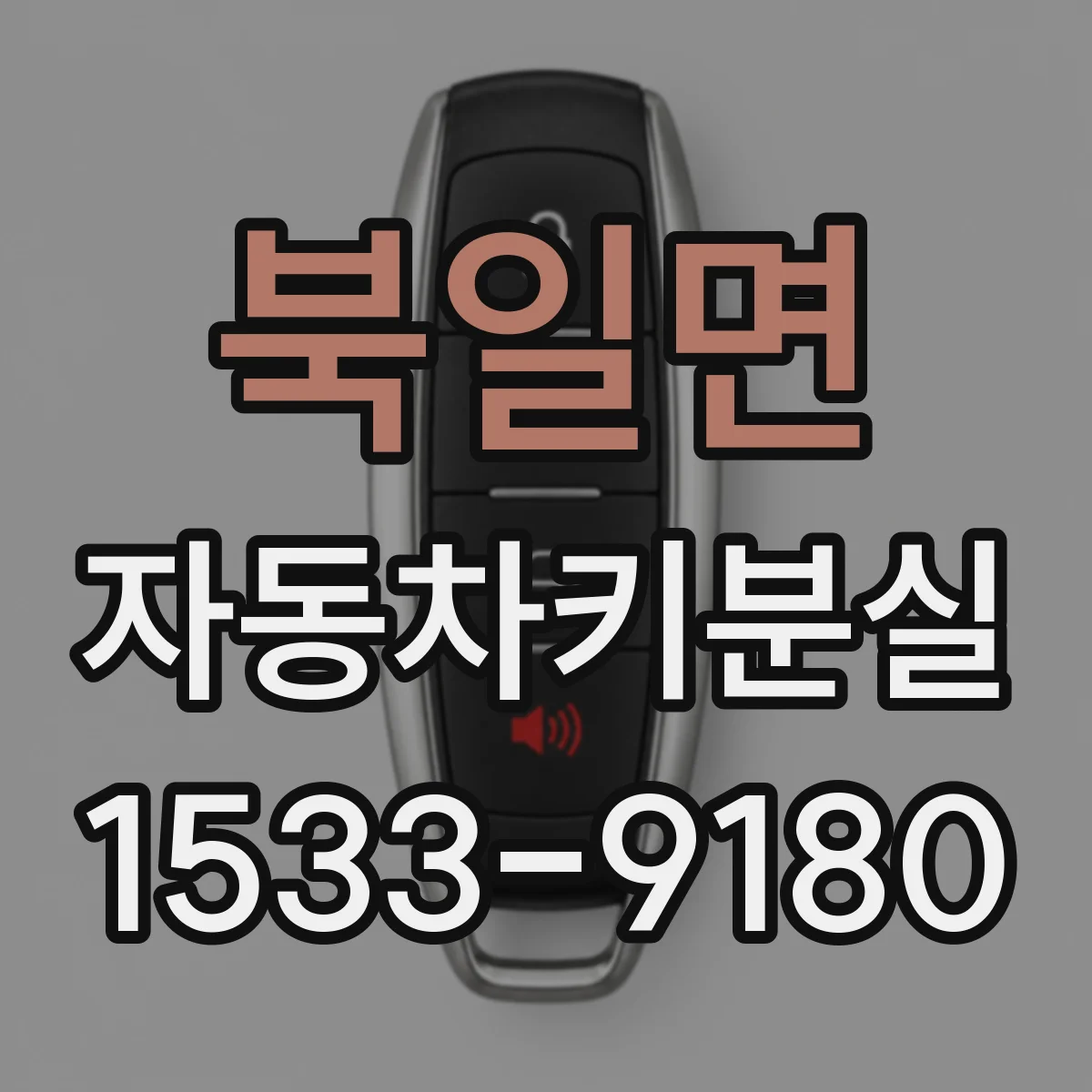북일면 자동차키분실