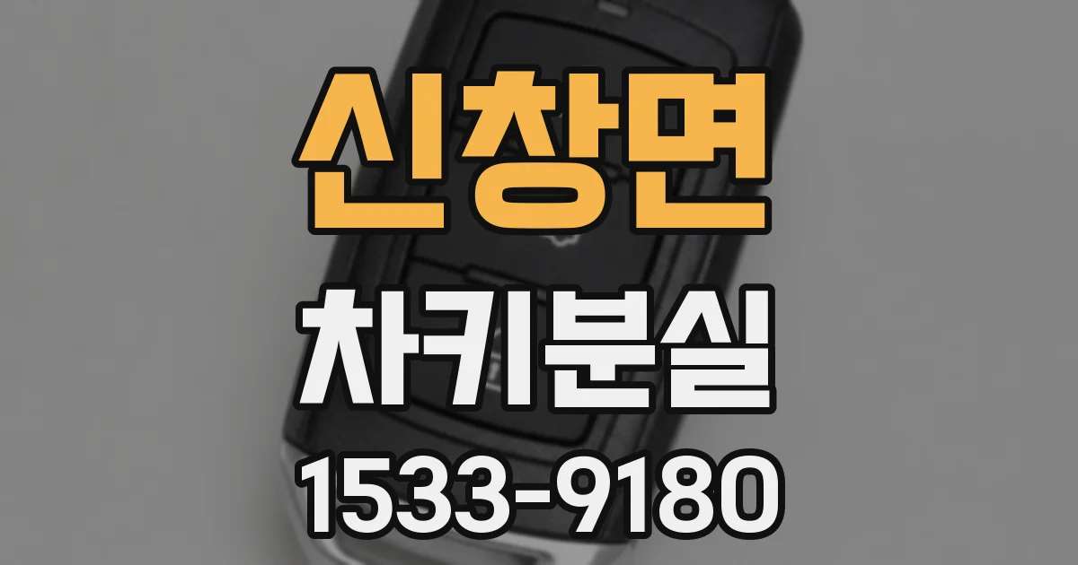 신창면 차키분실