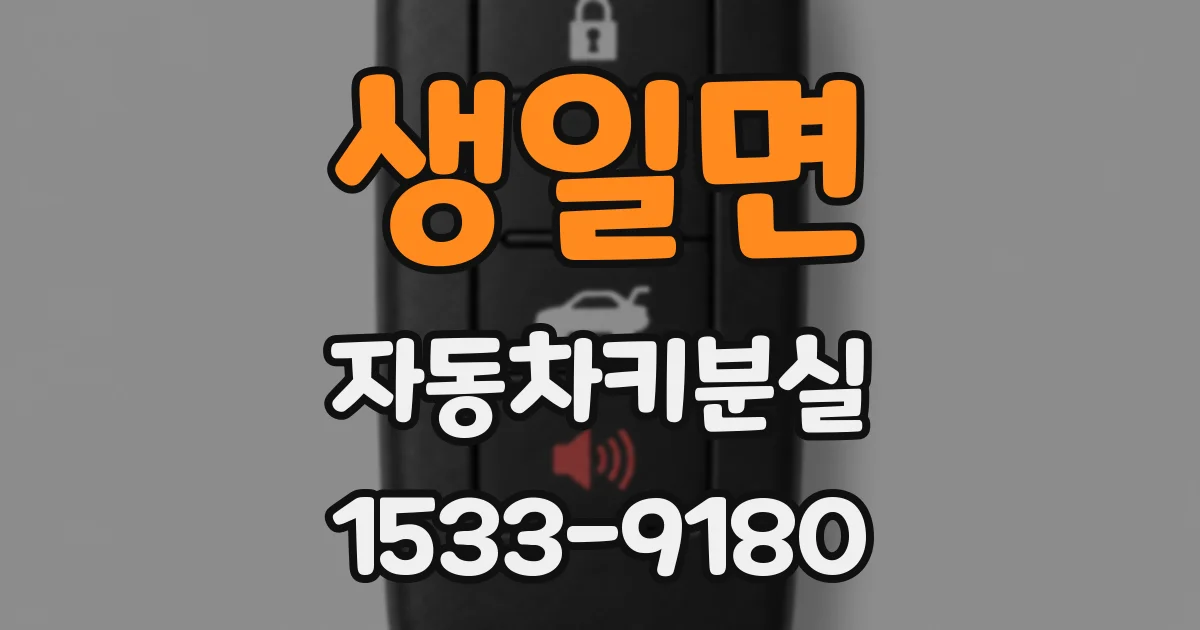 생일면 자동차키분실
