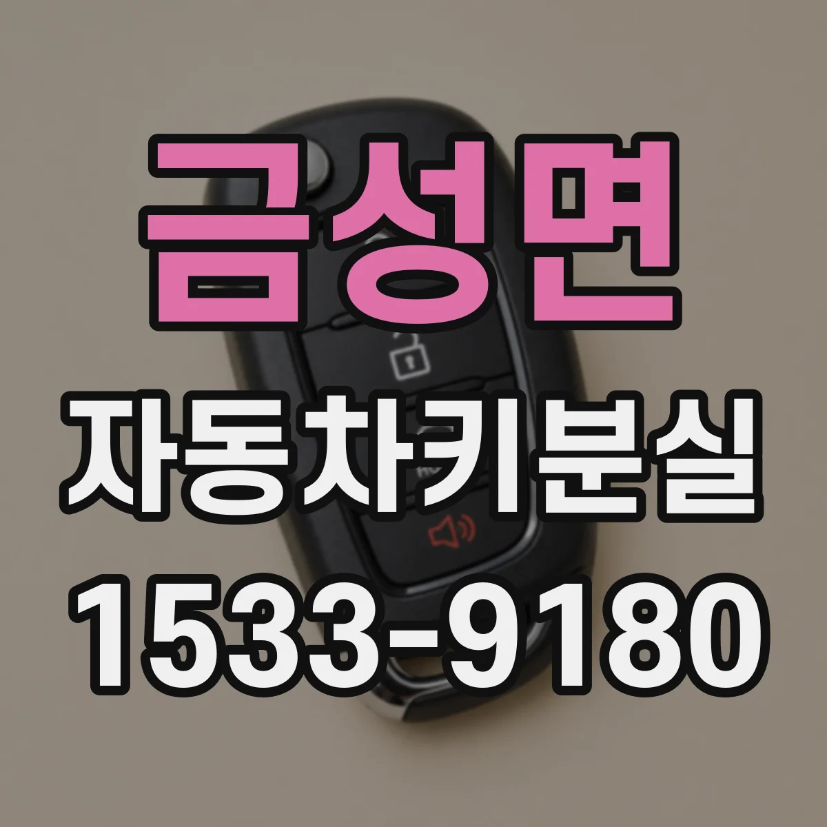 금성면 자동차키분실