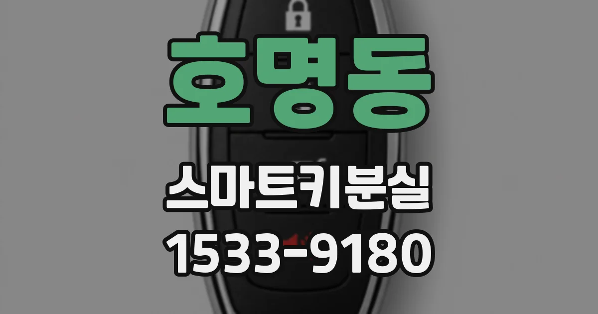 호명동 스마트키분실