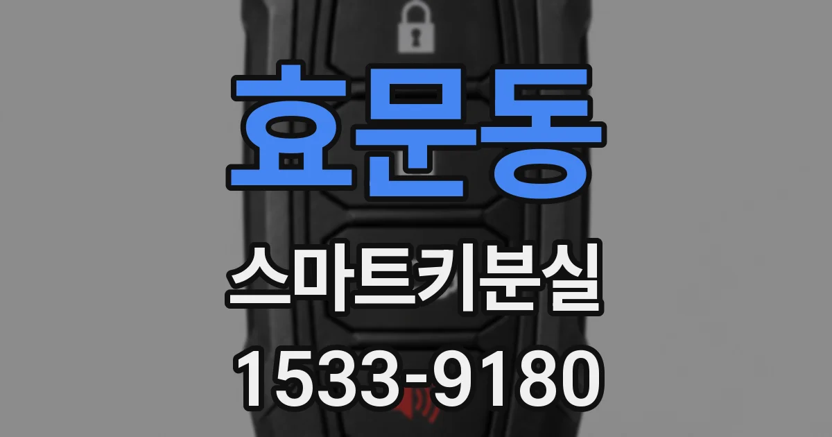 효문동 스마트키분실